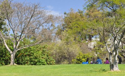 Lovely Picnic Area