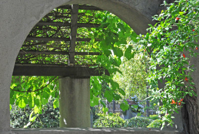 Unique arched window with lovely green plants!