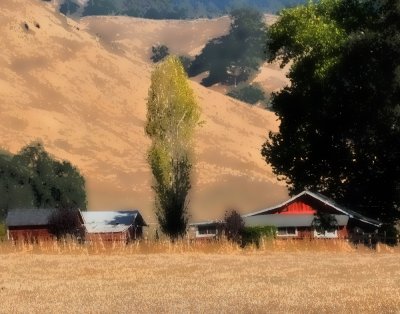 Farm House (Painterly-Fashion), on the way to Healdsburg