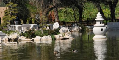 Lake of Reflected Fragrance