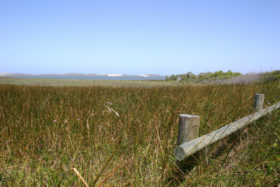 Fence in the Grass