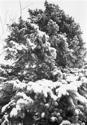 Untitled-114.jpg