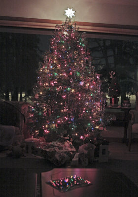 Christmas Tree 2008.jpg