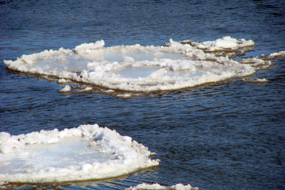 Ice in the River