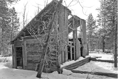 Goat Creek Area