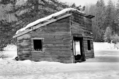 Goat Creek Area