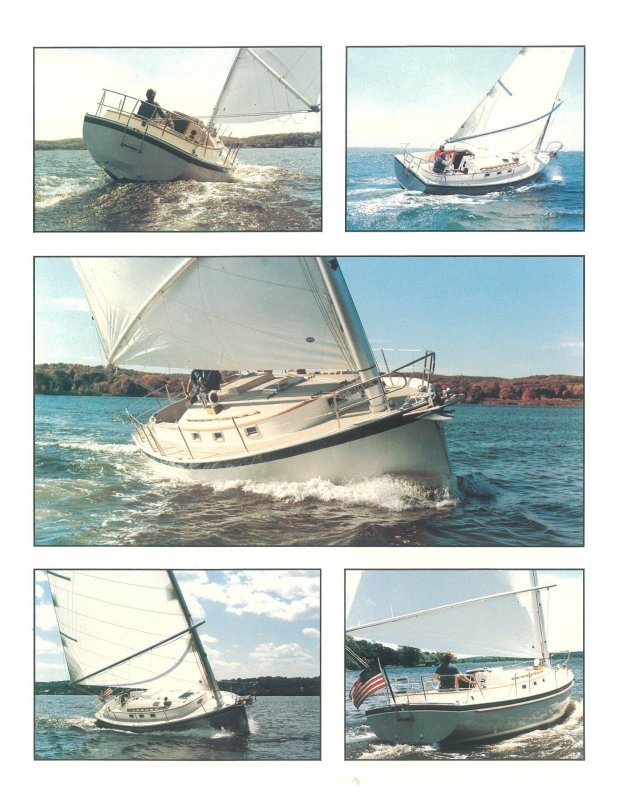 1984 brochure