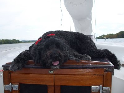 Crew, happy aboard his yacht on the river