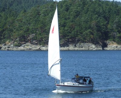 nice sailing off Bedwell Island, Gulf Islands, BC