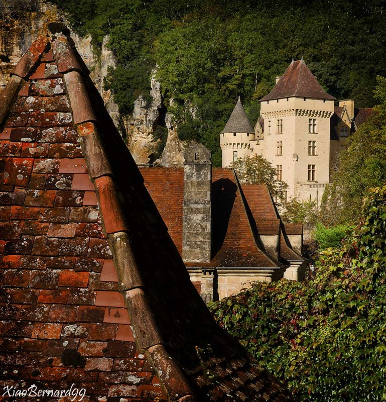 9.LA ROQUE GAGEAC. and its Private Castle