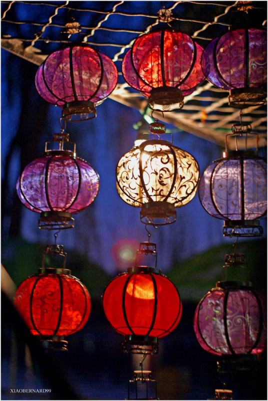 CHINESE LANTERNS