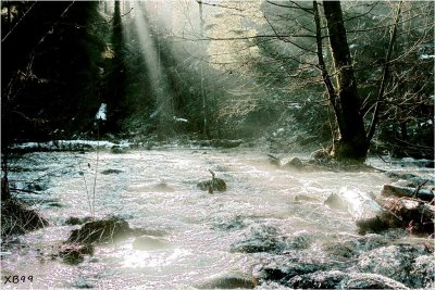 GERARDMER.One MILLION STARS on the VOLOGNE