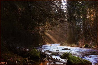 GERARDMER.MORNING EXPRESSION