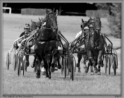 A day at VITTEL for Horses Race_Courses Hippiques à VITTEL