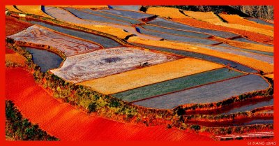 Artists in the YUNNAN FIELDS