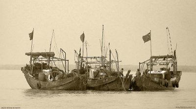 3 Boats in the Delta of Hoang HO.