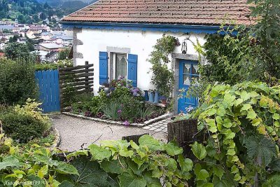 GERARDMER .The Little House with the flowers.