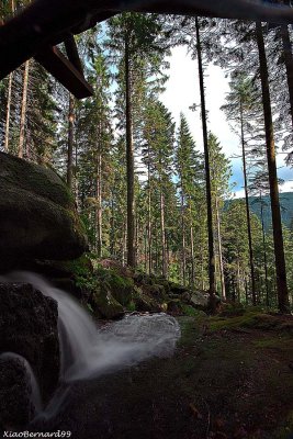 GERARDMER.Cascade de la Mrelle