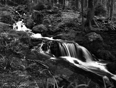 Gerardmer.Waterfall in another vision