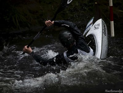 EPINAL-CANOE.KAYAK.EUROPA Cup 2010