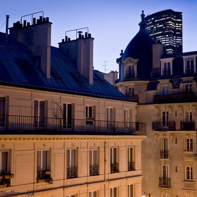 2.PARIS.Roofs and MONTPARNASSE's Tower