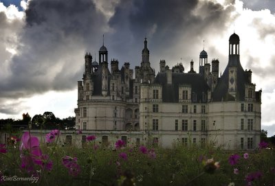 4.CHAMBORD .And the Rain,and the Flowers