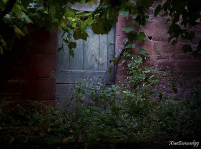 8.COLLONGES la ROUGE.The Door and the Flowers