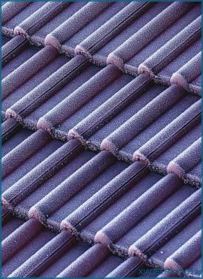Freeze on the ROOF