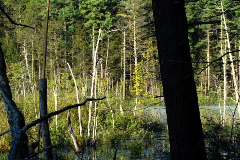 CrookedPond, Boxford, MA.