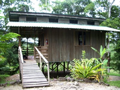 Cabin #3, Selva Bananito, 10/27/2008