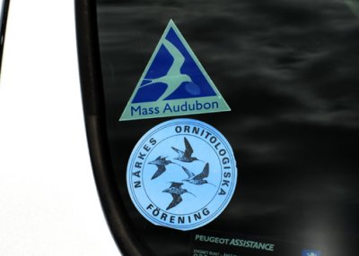 A bit of Mass Audubon in Sweden! What a grand experience it was -- thank you, Leif!! Dave