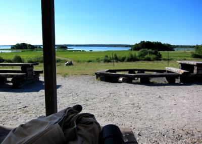 The view from Leif's banding shed, Lake Hjalmaren.