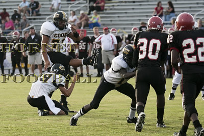 LANIER -340.jpg