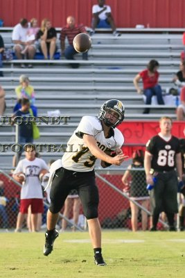 LANIER -355-2.jpg
