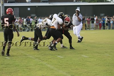 LANIER -423.jpg