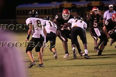 LANIER -529.jpg
