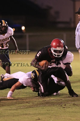 LANIER -530.jpg