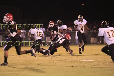 LANIER -562.jpg