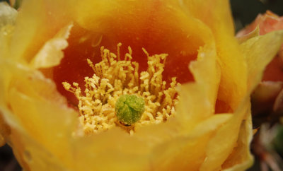 g1/48/816548/3/131024068.j0AxAGlZ.jpg