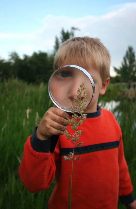 junior botanist.JPG