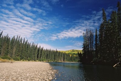 Boreal River