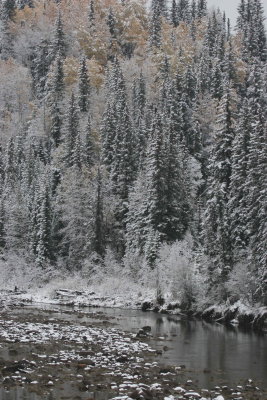 Bull Creek