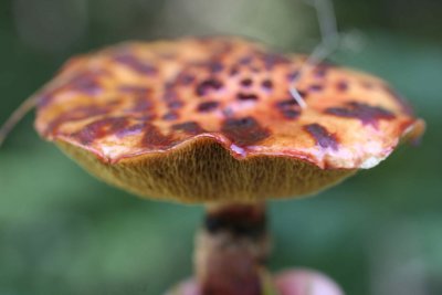 wq0794.JPG