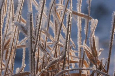 winter