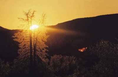 winter sun