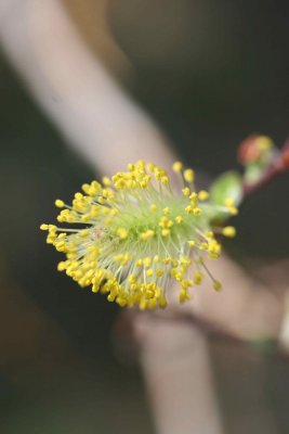 wq0599.JPG