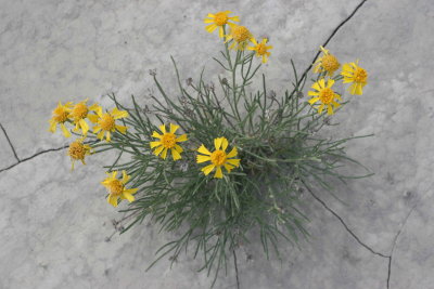 wq0630.JPG