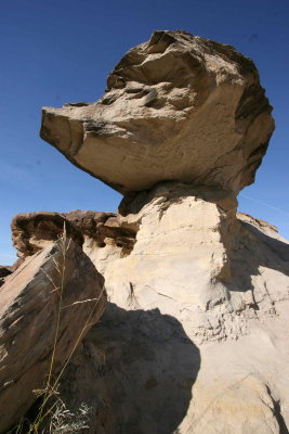 Dinosaur Park
