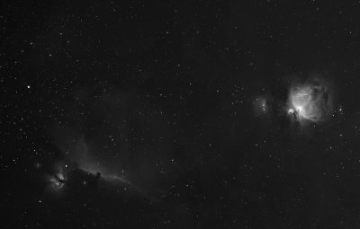 horsehead and orion