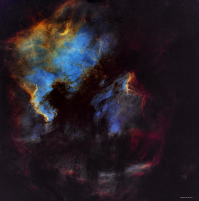 NGC7000(North American Nebula and Pelican Nebula)